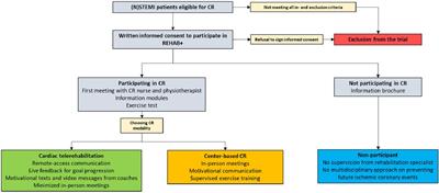 Cardiac (tele)rehabilitation in routine clinical practice for patients with coronary artery disease: protocol of the REHAB + trial